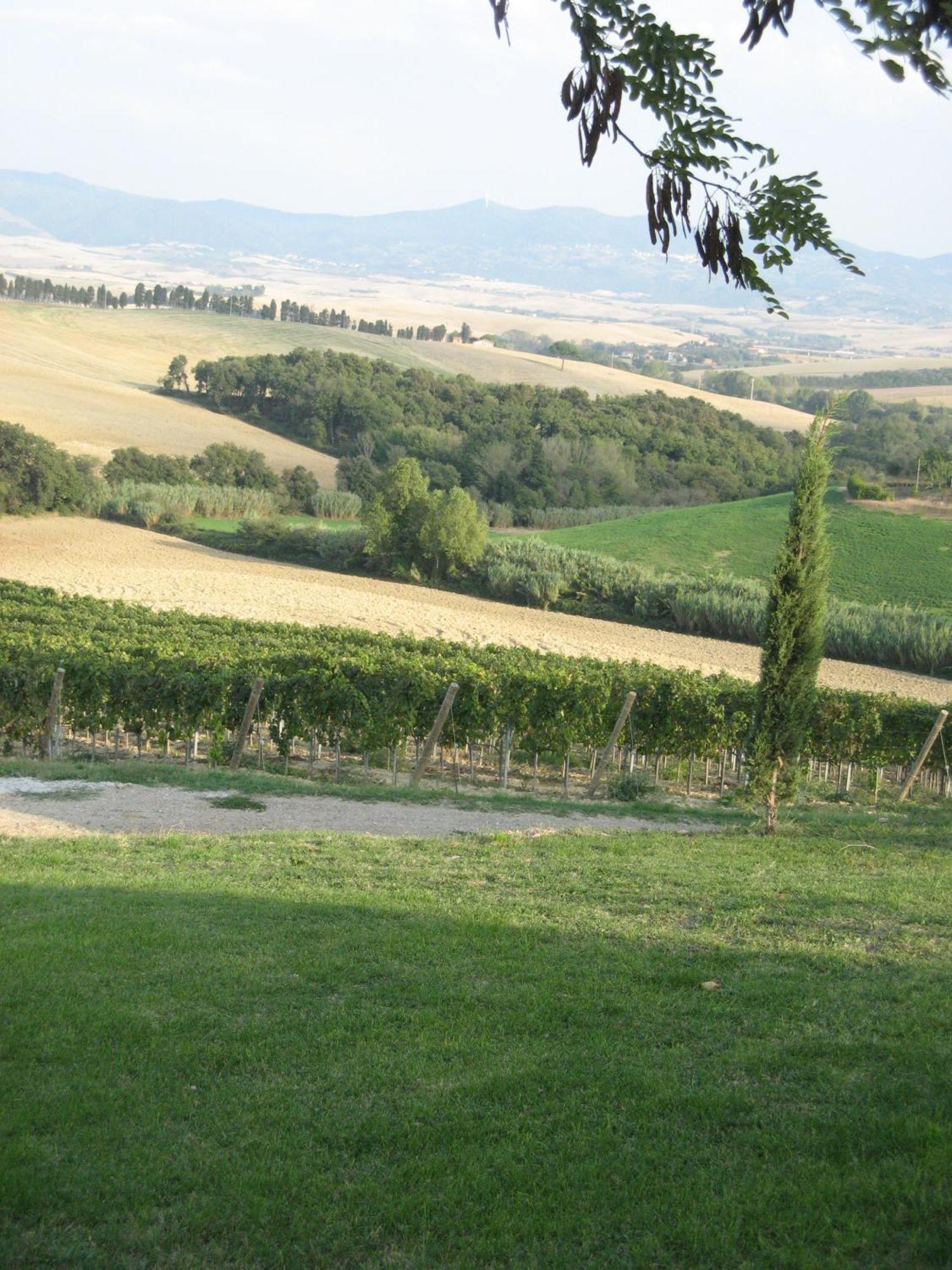 Agriturismo Cappellese Castelnuovo della Misericordia Exterior photo